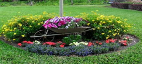 10 ý tưởng trang trí sân vườn từ xe cút kít