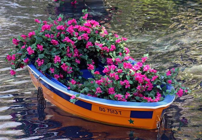 Làm đẹp ngoại thất với thuyền hoa